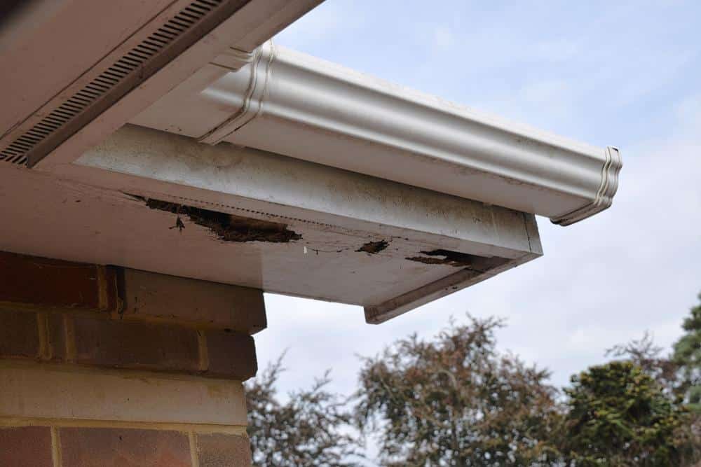 Soffit Wood Rot