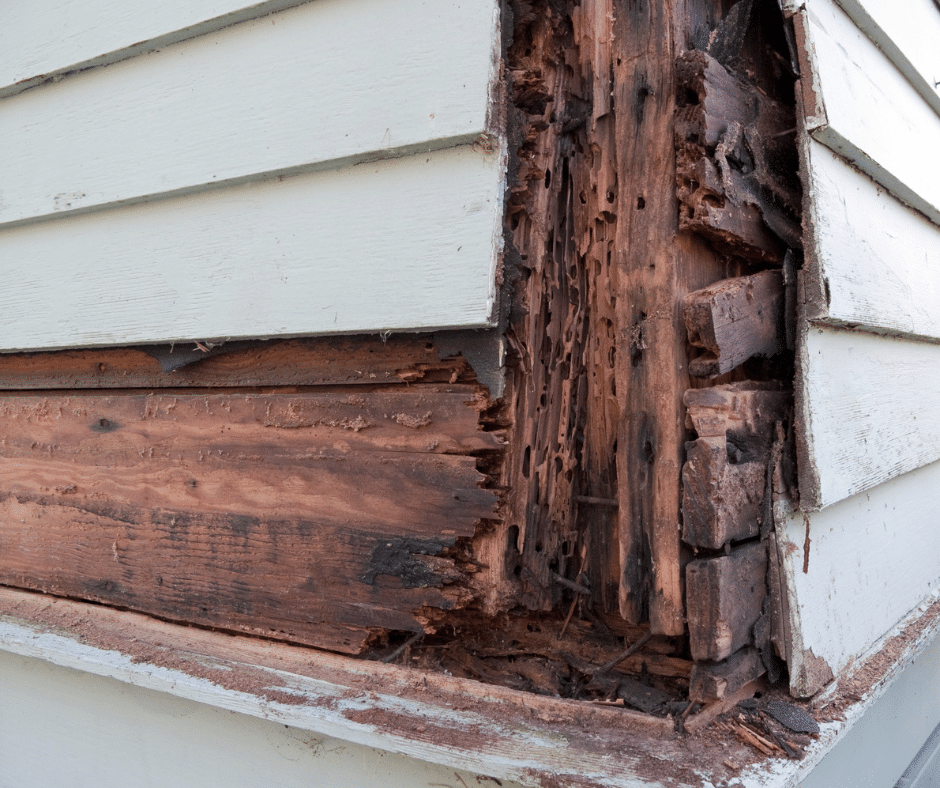 Wood Rot on Siding